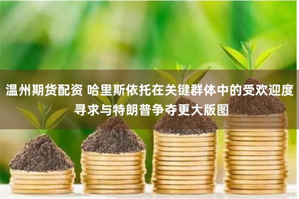 温州期货配资 哈里斯依托在关键群体中的受欢迎度 寻求与特朗普争夺更大版图