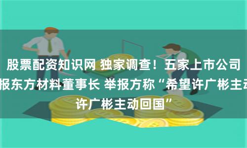 股票配资知识网 独家调查！五家上市公司联名举报东方材料董事长 举报方称“希望许广彬主动回国”